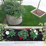 Mirta Апартаменти
