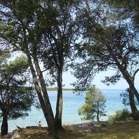 Mirta * بولا